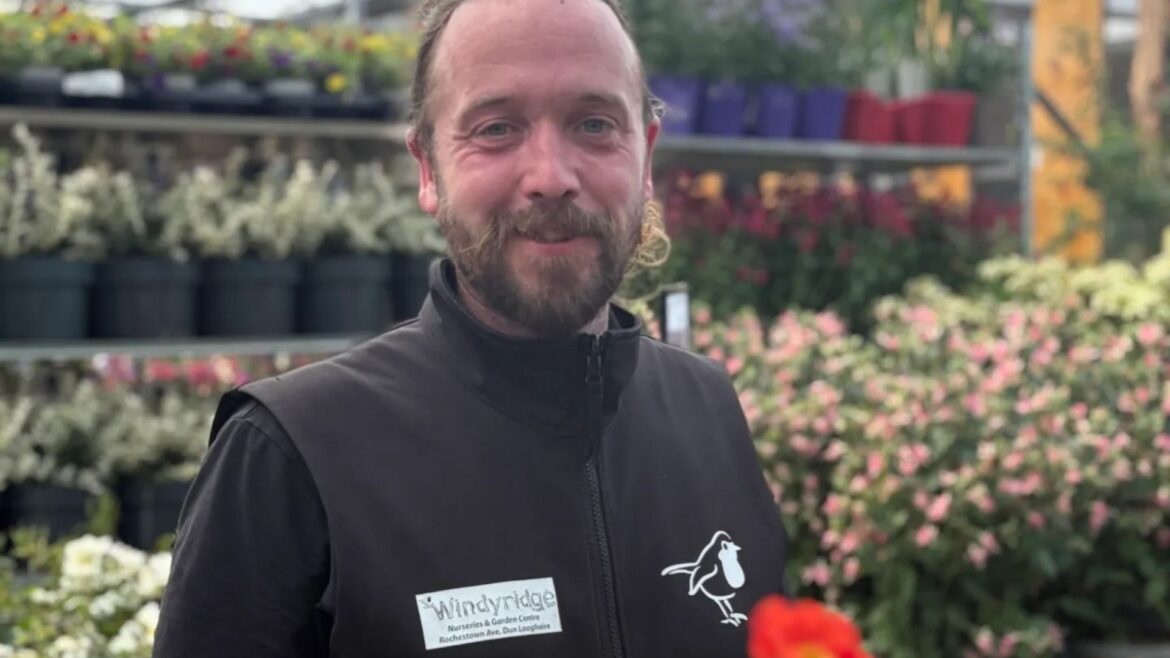 I’m a gardening expert – here’s how to create dream outdoor space on a budget & there’s cheapest time to buy plants I'm a gardening expert - here's how to create dream outdoor space on a budget & there's cheapest time to buy plants