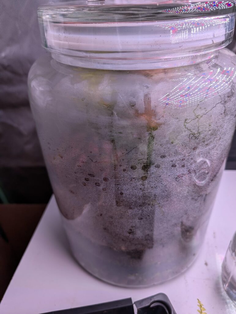 First one! Water look okay?