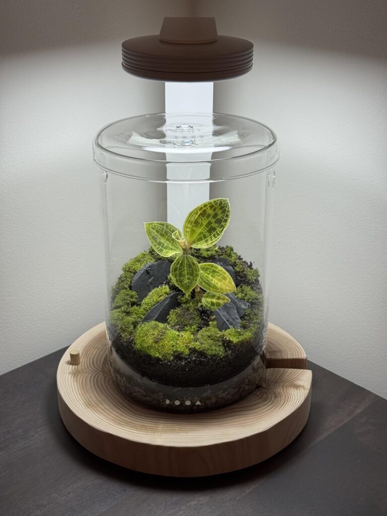 First attempt