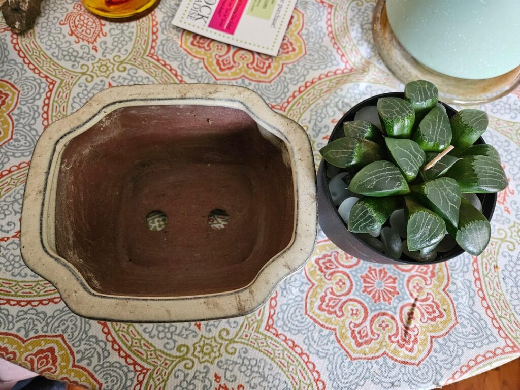 Is this a good pot to repot into?