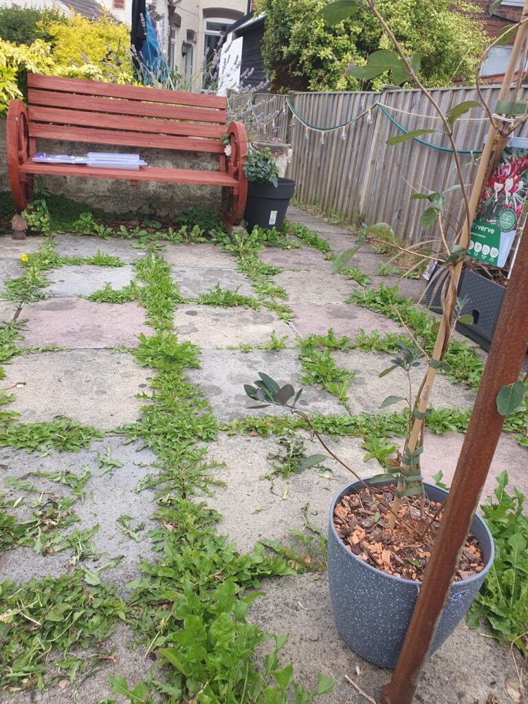 Patio Weeding Patio Weeding