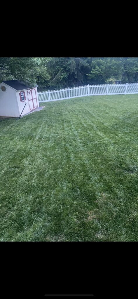 Fungus take over! Fungus take over!