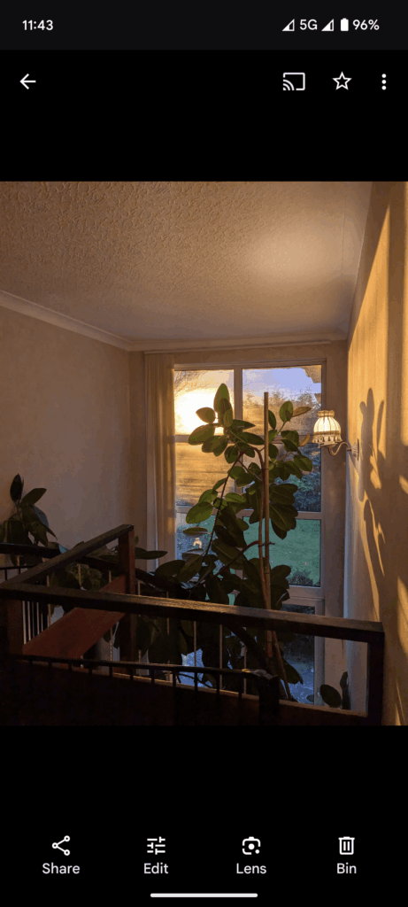 What is this and what to feed it?! What is this and what to feed it?!