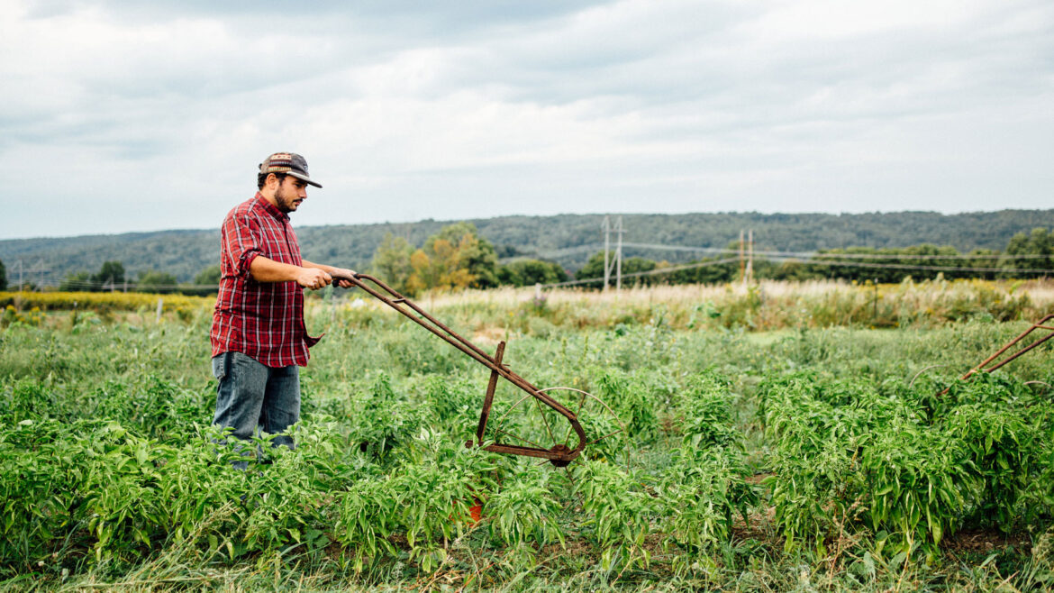 Old-school gardening tools that are still worth using Old-school gardening tools that are still worth using