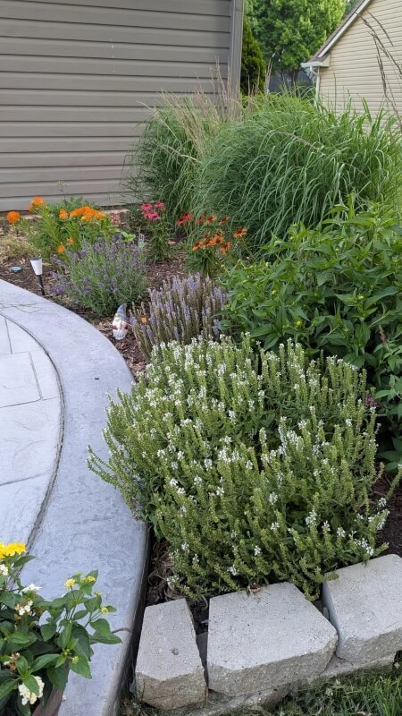 The new yard is lower-maintenance as well.