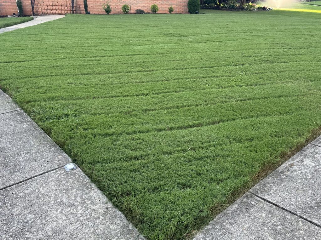 Elders of /rlawncare I come to you… Elders of /rlawncare I come to you…