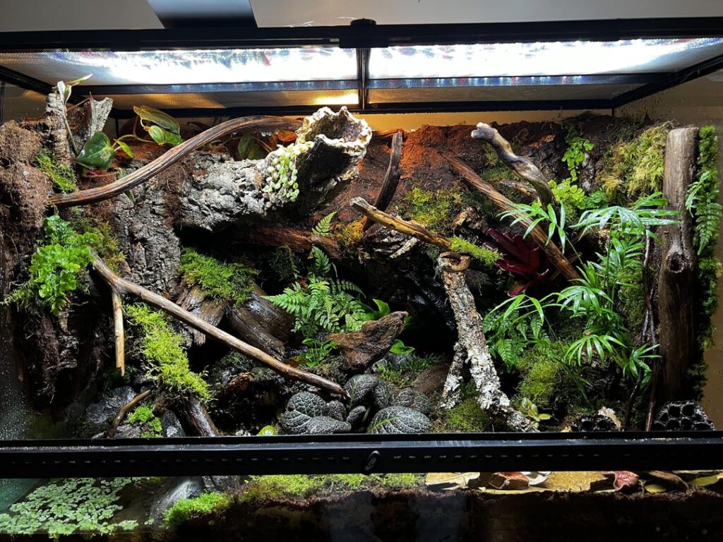 Time to Let it Grow Time to Let it Grow