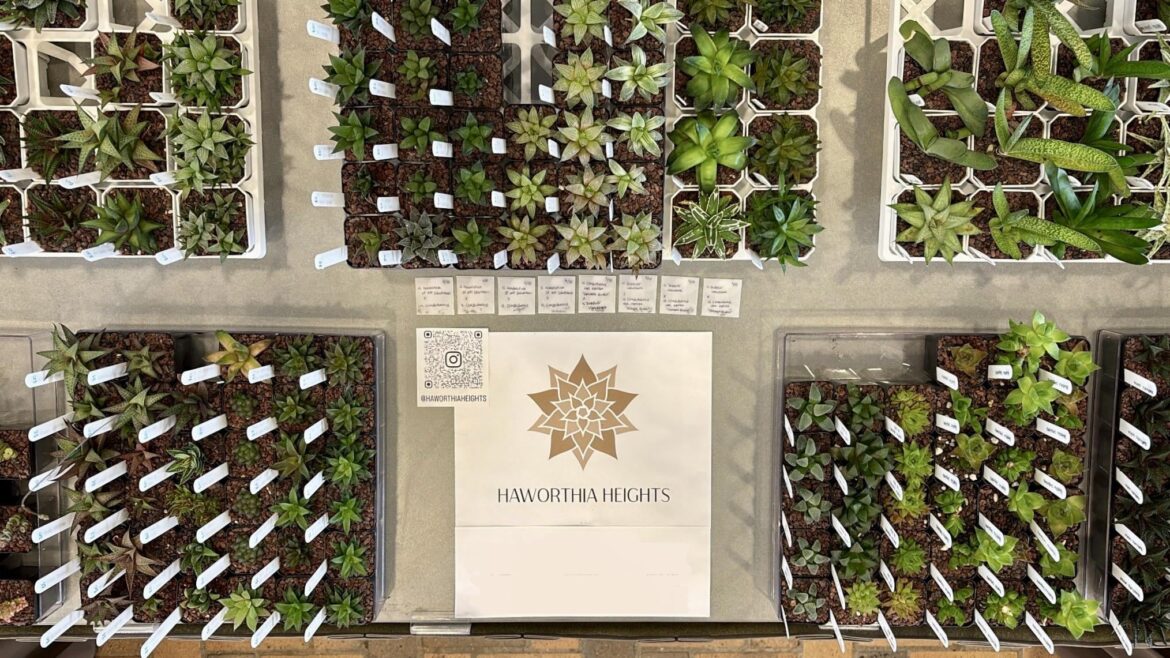 First Cactus & Succulent Show & Sale at the Chicago Botanic Garden!