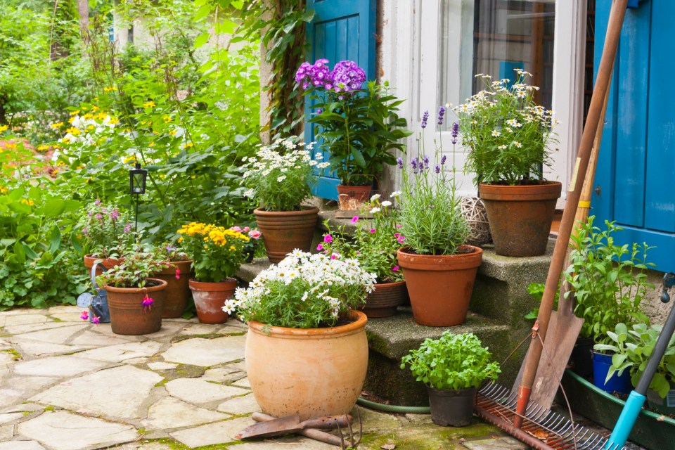Patio with potted flowers and gardening tools.