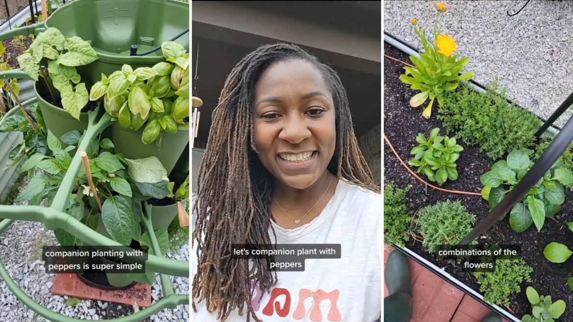 Expert gardener shares easy hack to keep pests off your plants: ‘Super simple’ "You're giving me hope for this summer!"