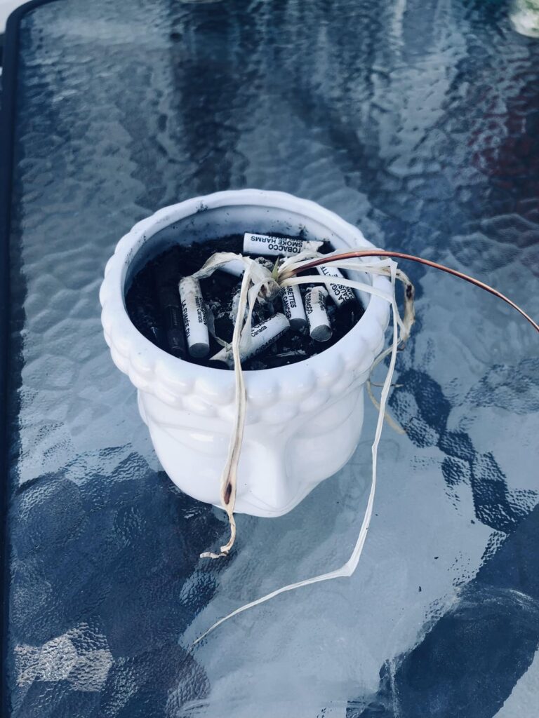 My brother in law got intoxicated and started using his spider plant as an ashtray. I’m fixing it up =)