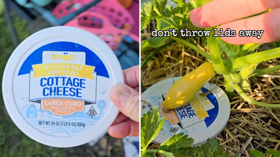 "Thanks for the tip!"