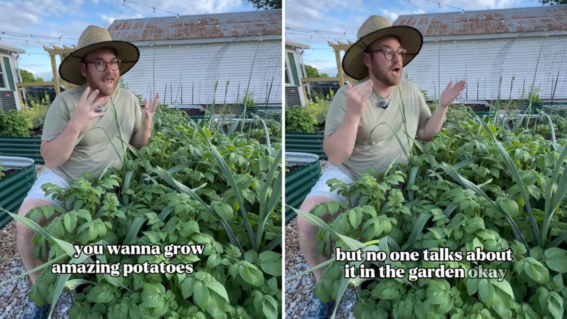 Gardening expert shares simple method to enhance your plants’ growth: ‘Happily growing together’ "Can't wait to try this."