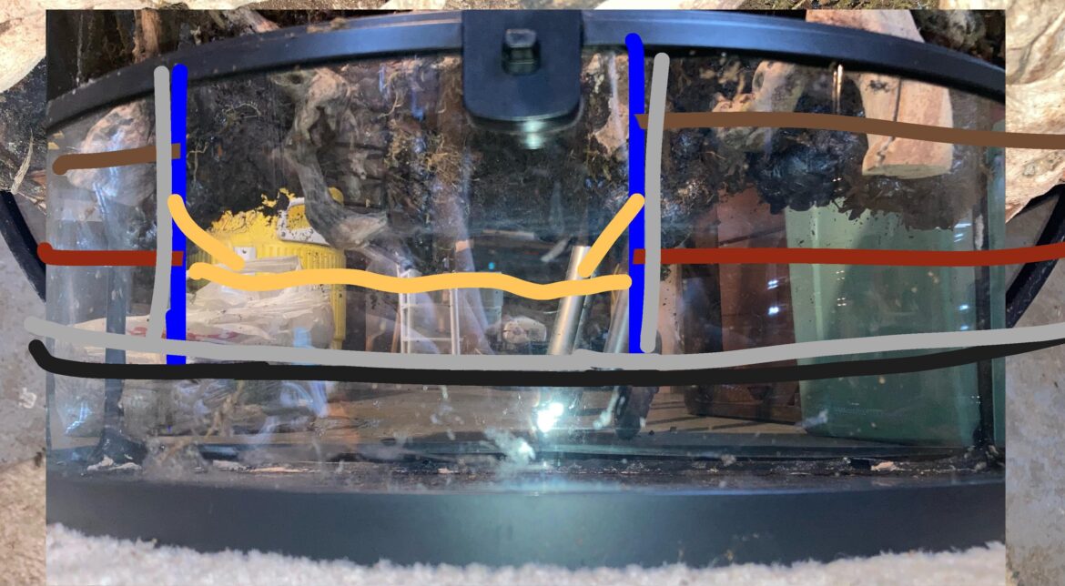 tropical bio active terrarium pond?