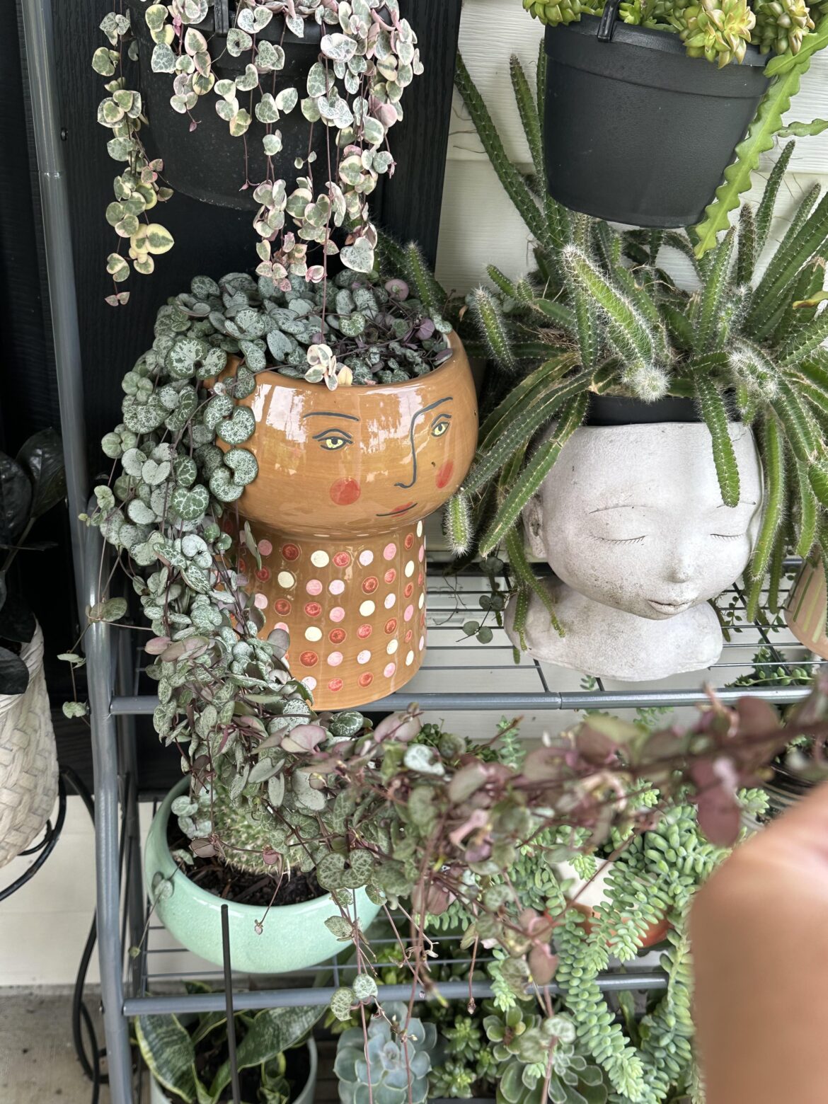 My girl is thriving outside .