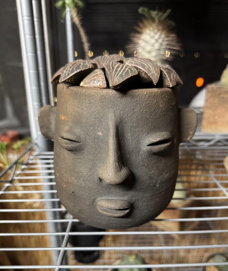 Gave my guy a new style