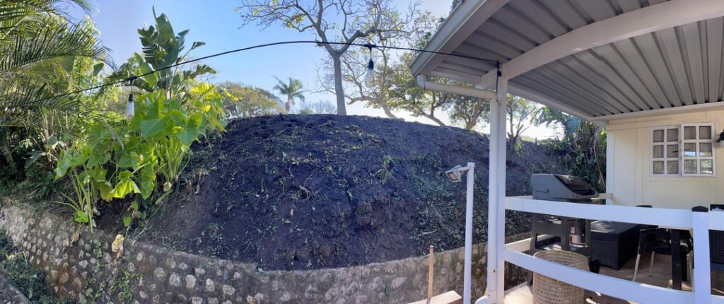 I think I might have taken on more than I can chew with this 10x4m blank canvas bank in a tropical paradise climate I have no idea how to design the planting for this bank! I think I might have taken on more than I can chew with this 10x4m blank canvas bank in a tropical paradise climate I have no idea how to design the planting for this bank!