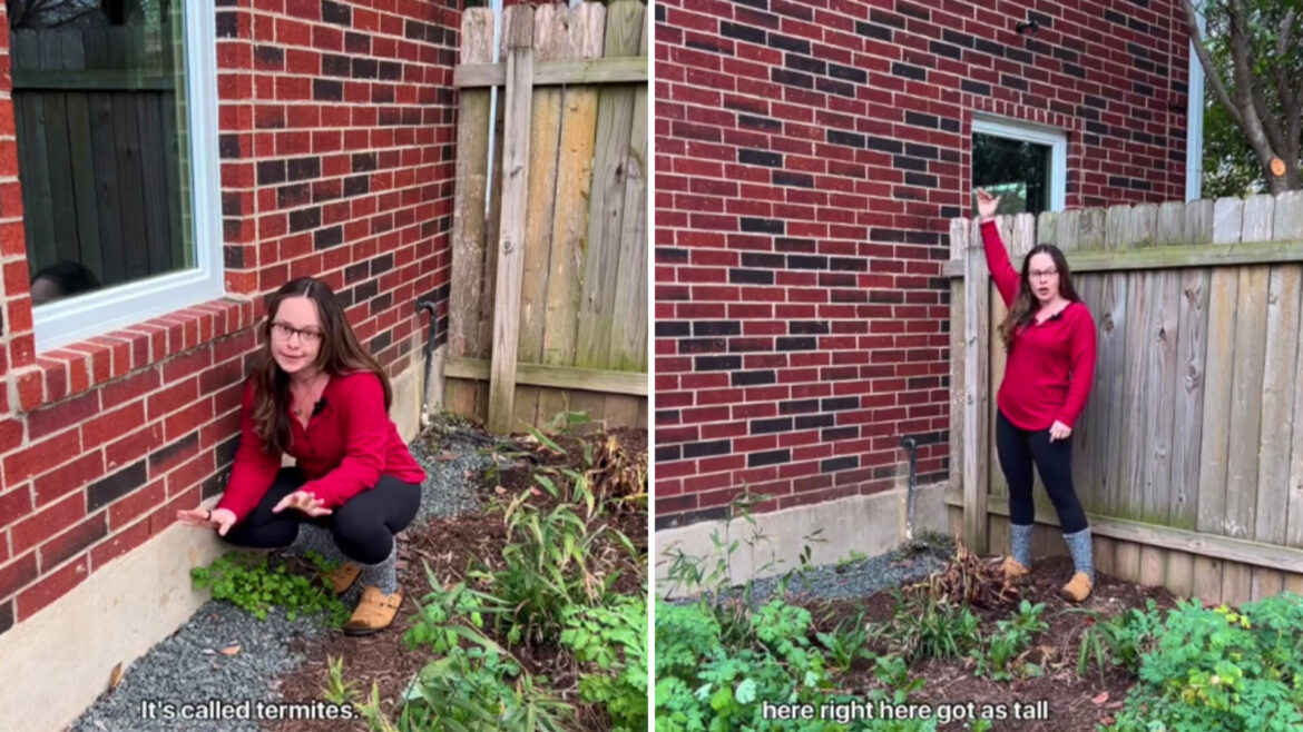 Gardener shows off low-maintenance solution to common backyard issue: ‘Full glory’ Why let those downpours trickle to nearby waterways?