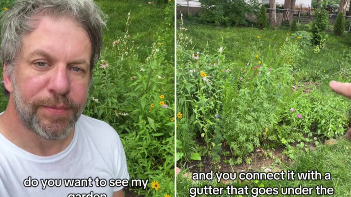 Gardener shows off beautiful backyard feature with practical purpose: ‘So pretty’ "That's an awesome idea."