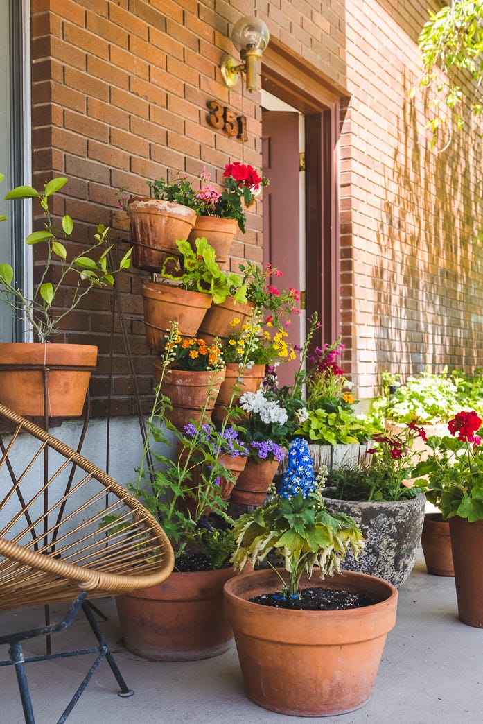 a group of potted plants outside a building