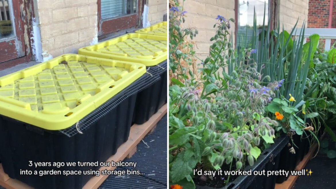 ‘Made such a good use of the space’ Viewers flooded the comments with love.