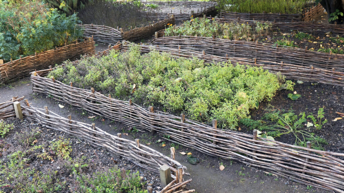 One gardener had an interesting theory.