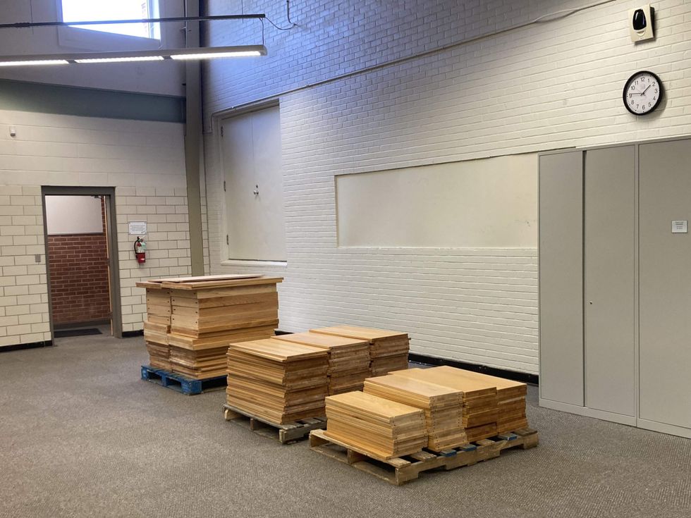 Red maple recovered from shelving