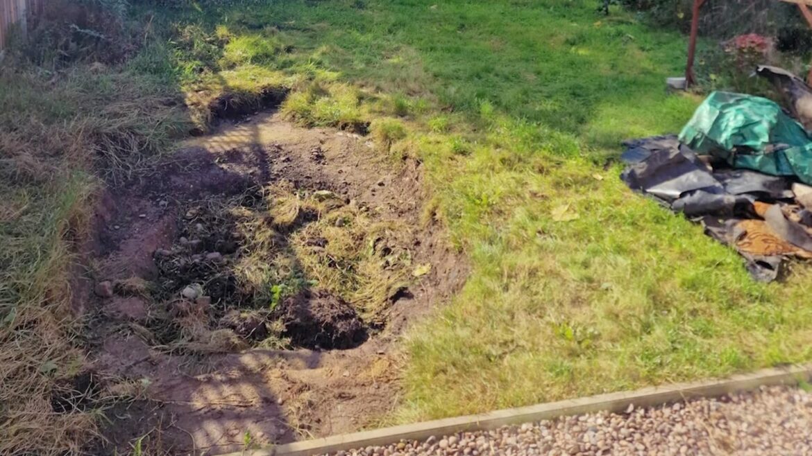 ‘For a first timer that’s excellent’ "There is obviously 'you' in it."