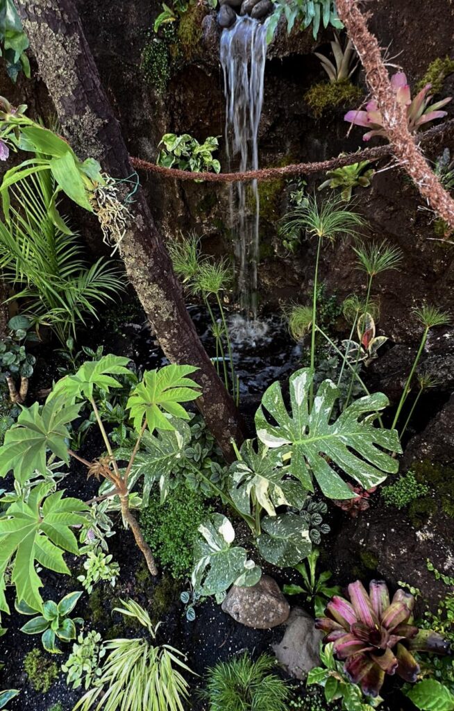 18,000 Gallon Vivarium: Week 2 18,000 Gallon Vivarium: Week 2