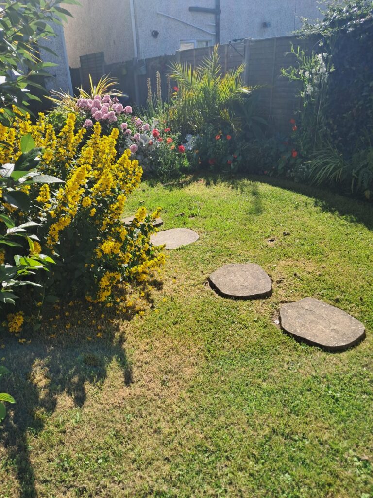 summer garden