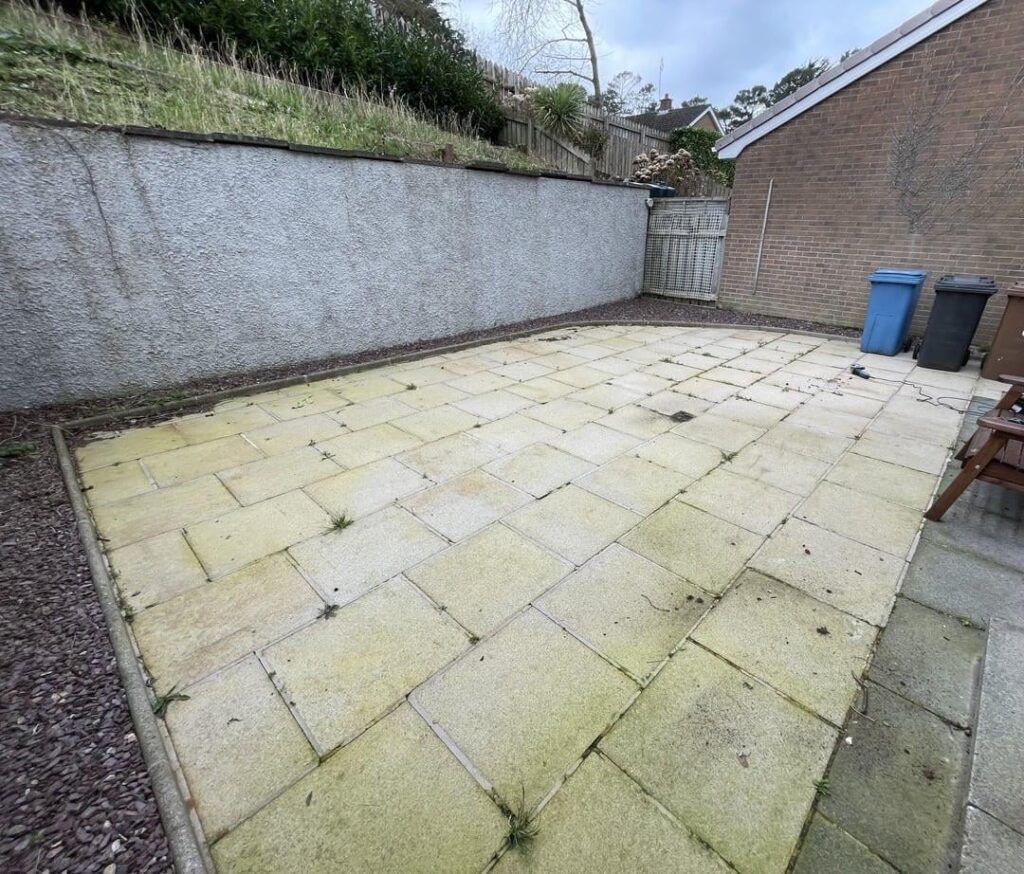 Thanks for the advice r/GardeningUK