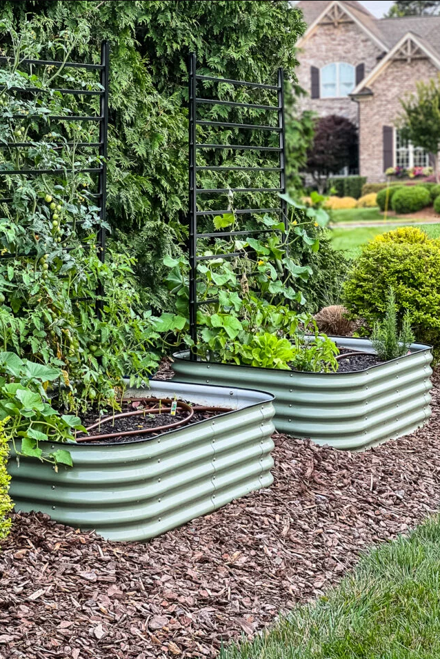 raised garden bed small