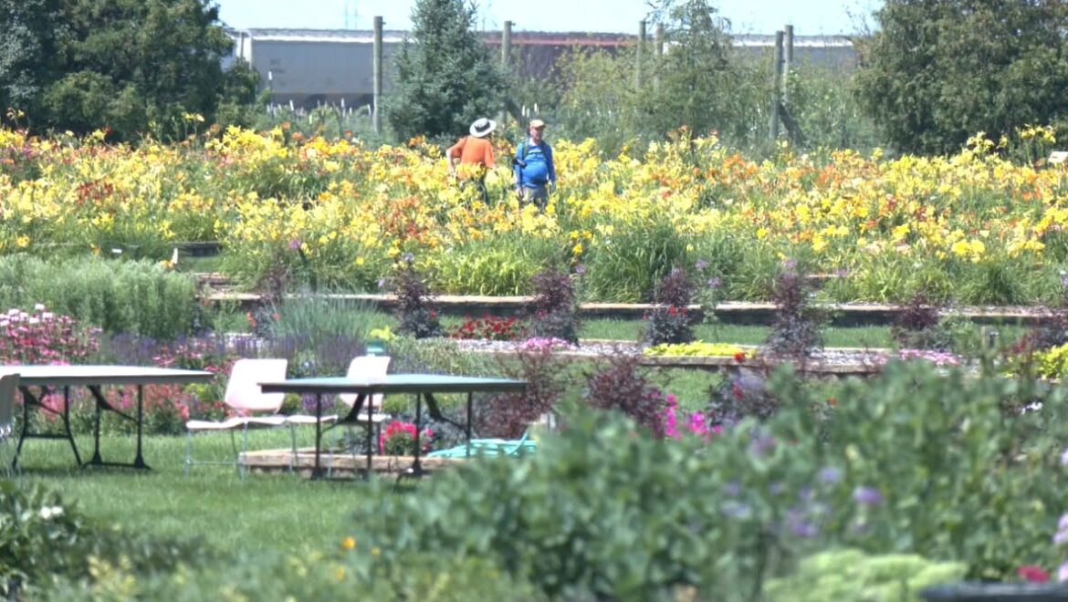 NDSU Celebrates 20 years of the Horticulture Research and Demonstration Gardens NDSU Celebrates 20 years of the Horticulture Research and Demonstration Gardens