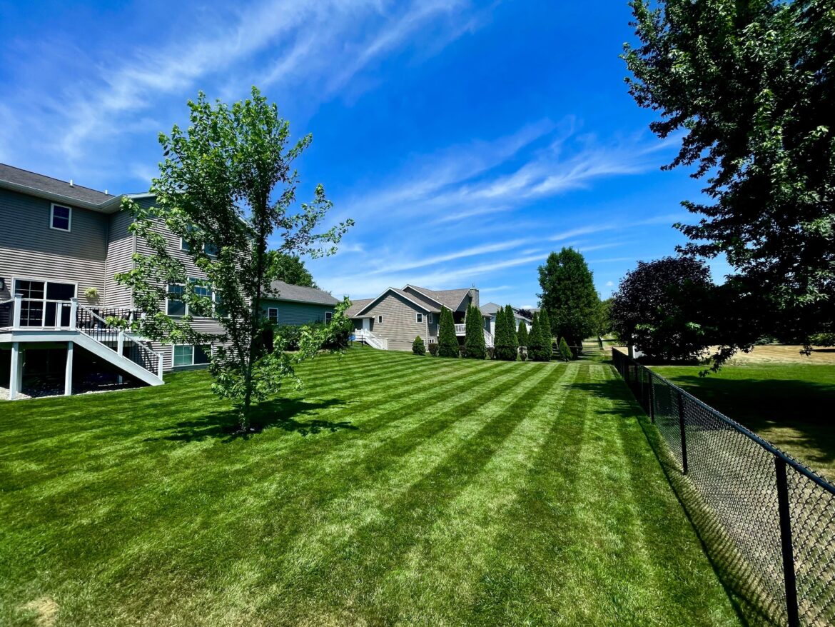 It’s not perfect but looking goood this year, Michigan, USA.