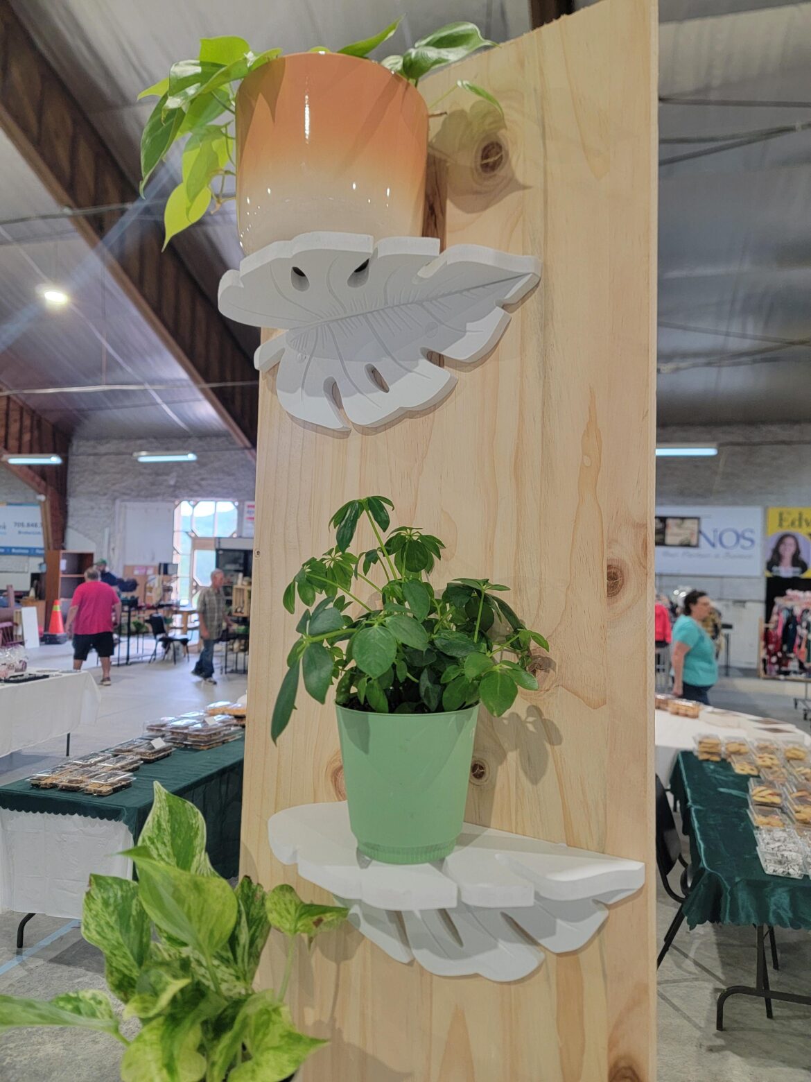 My wife's plant obsession birthed my little business