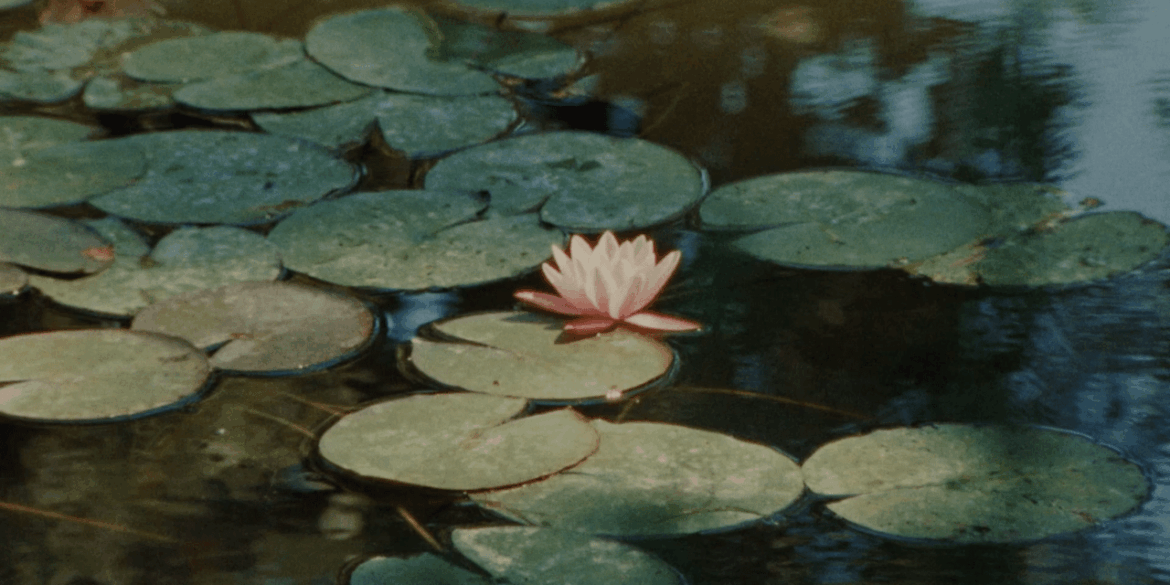 The Mission to Save Claude Monet’s Gardens at Giverny