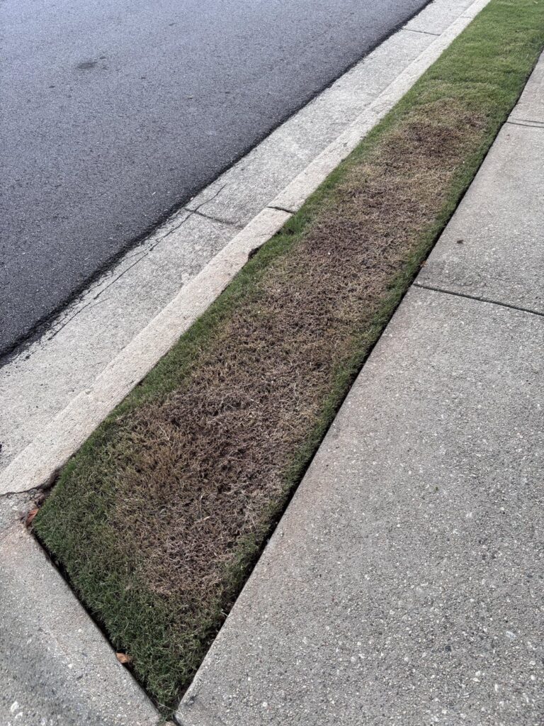 My yard crew didn’t check the deck height on the mower!