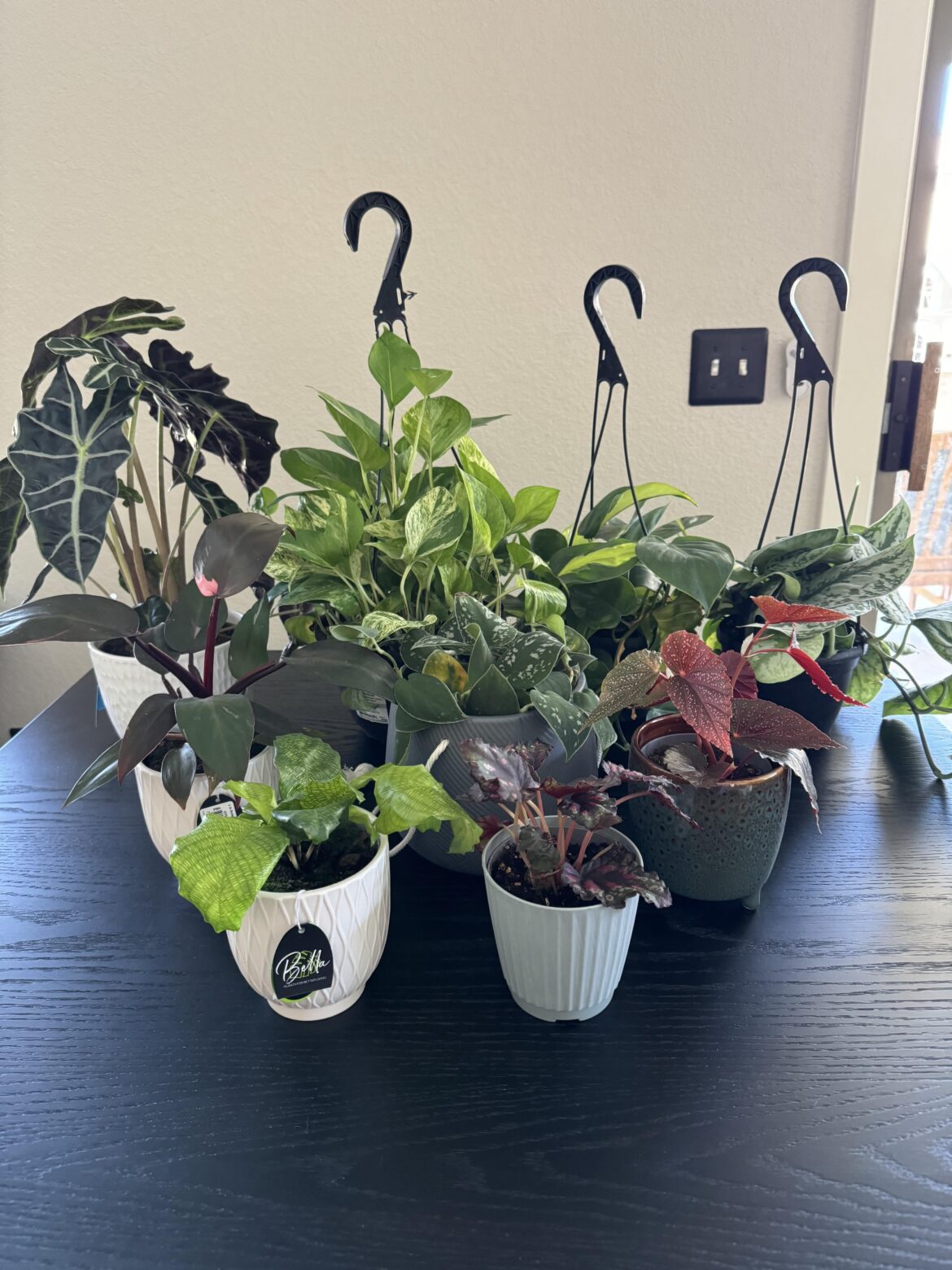 There’s a small chance I went a bit overboard at the store today 😬