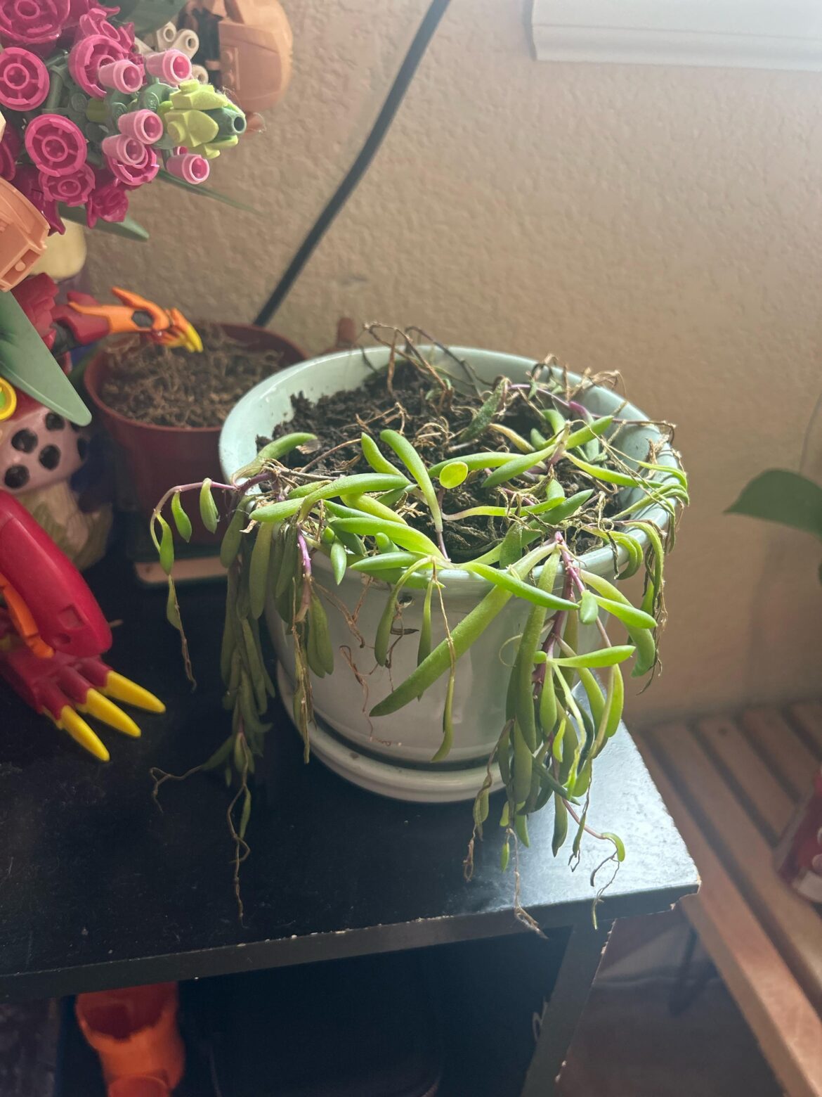 What’s wrong with my string of rubies?