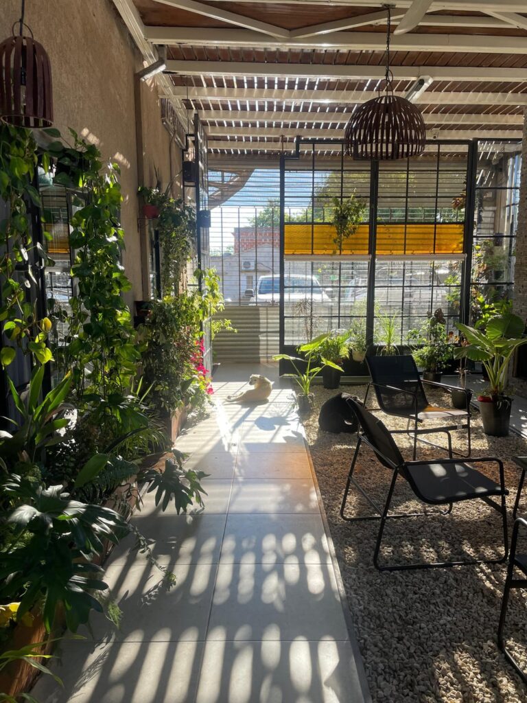 the foyer of my apartment is blooming!