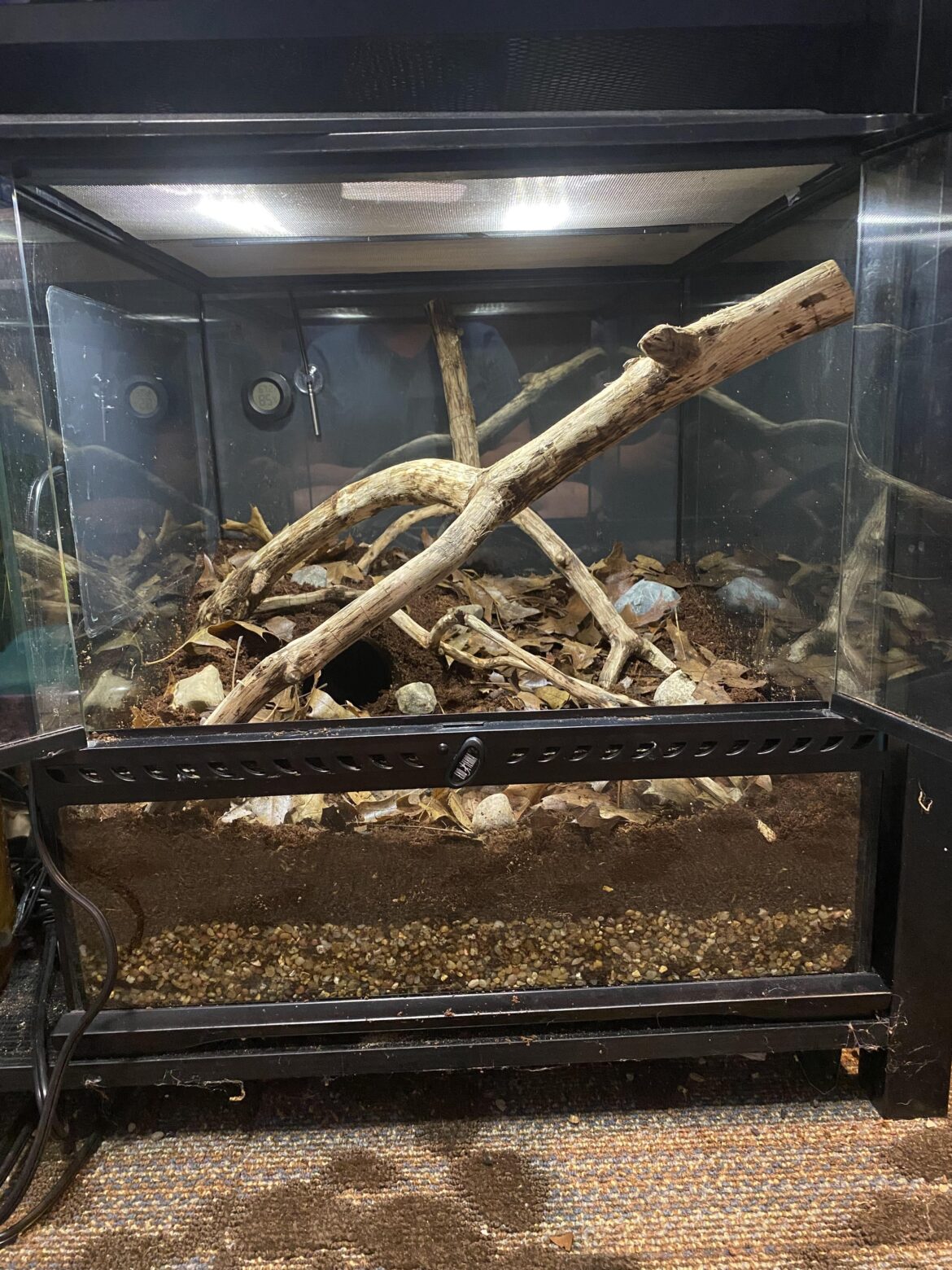 Update on the tank