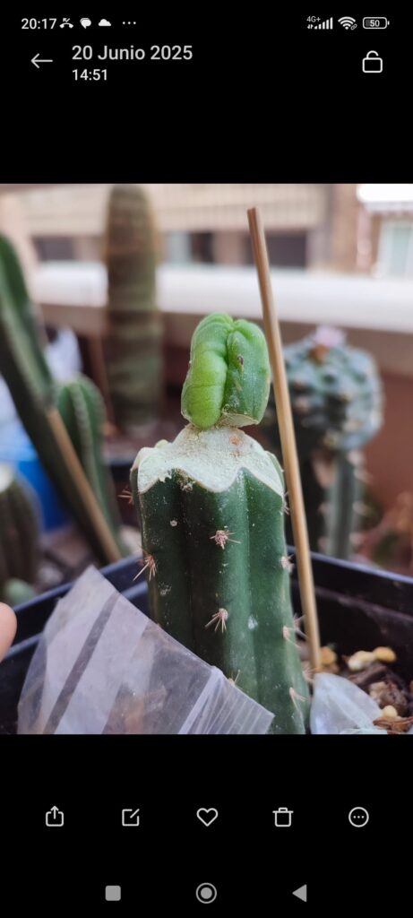 Evolution of one month