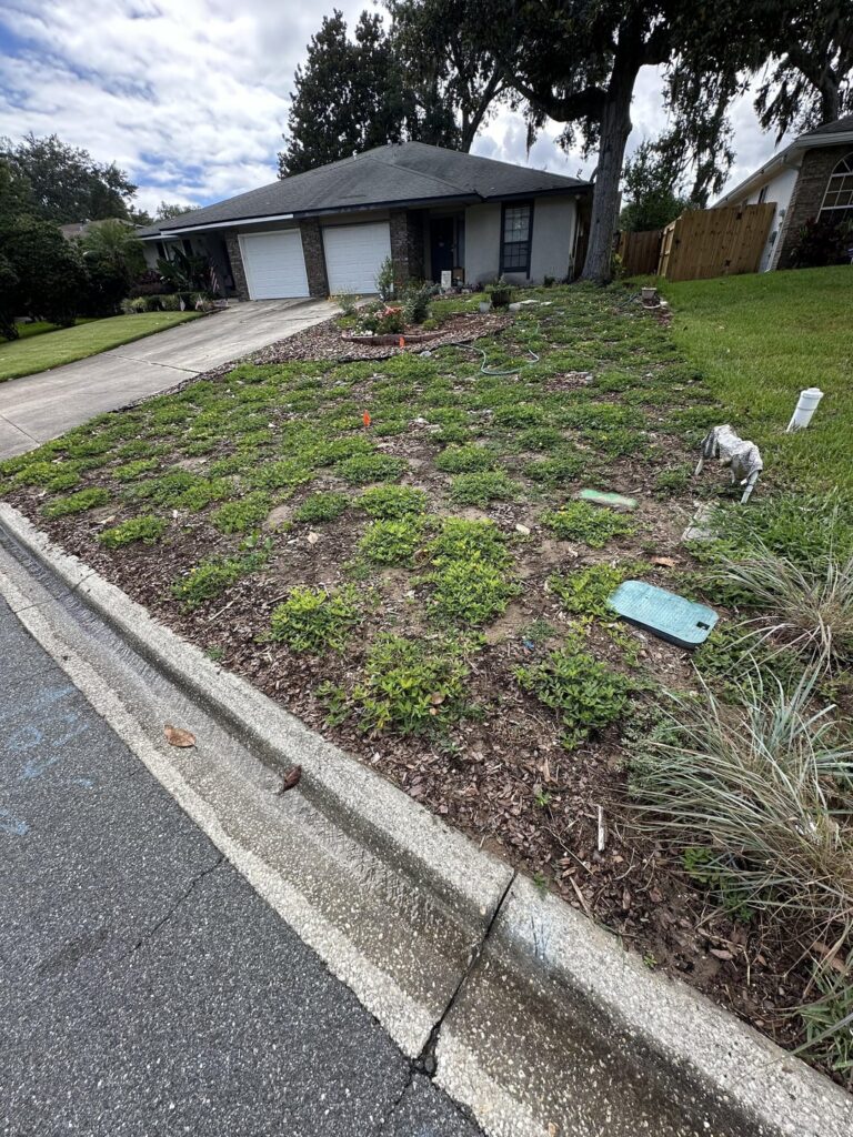 Low-Growing No Lawn (Zone 9b, NE Florida)