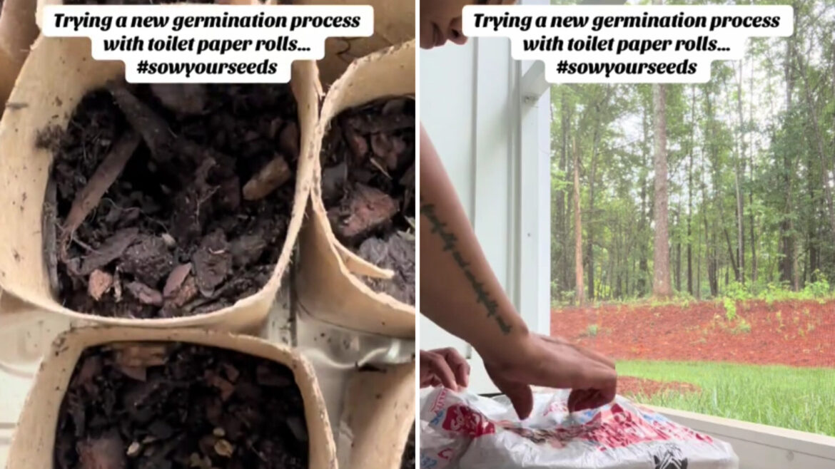 "Can we be garden friends?"