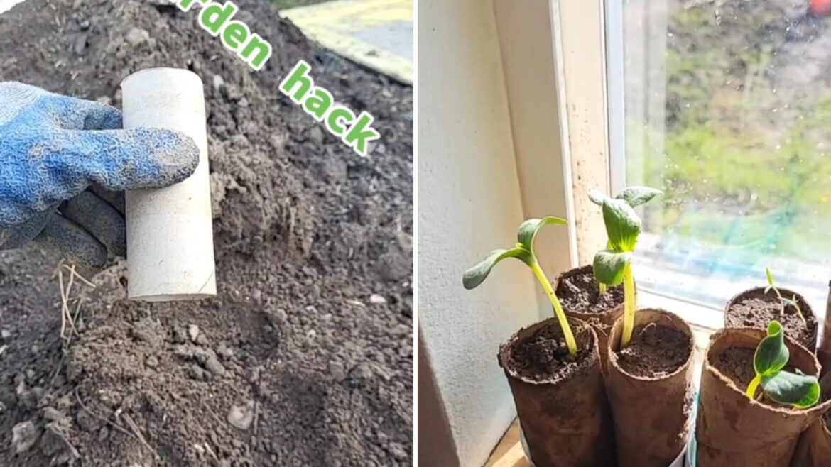 "Sounds fun, I like this idea."