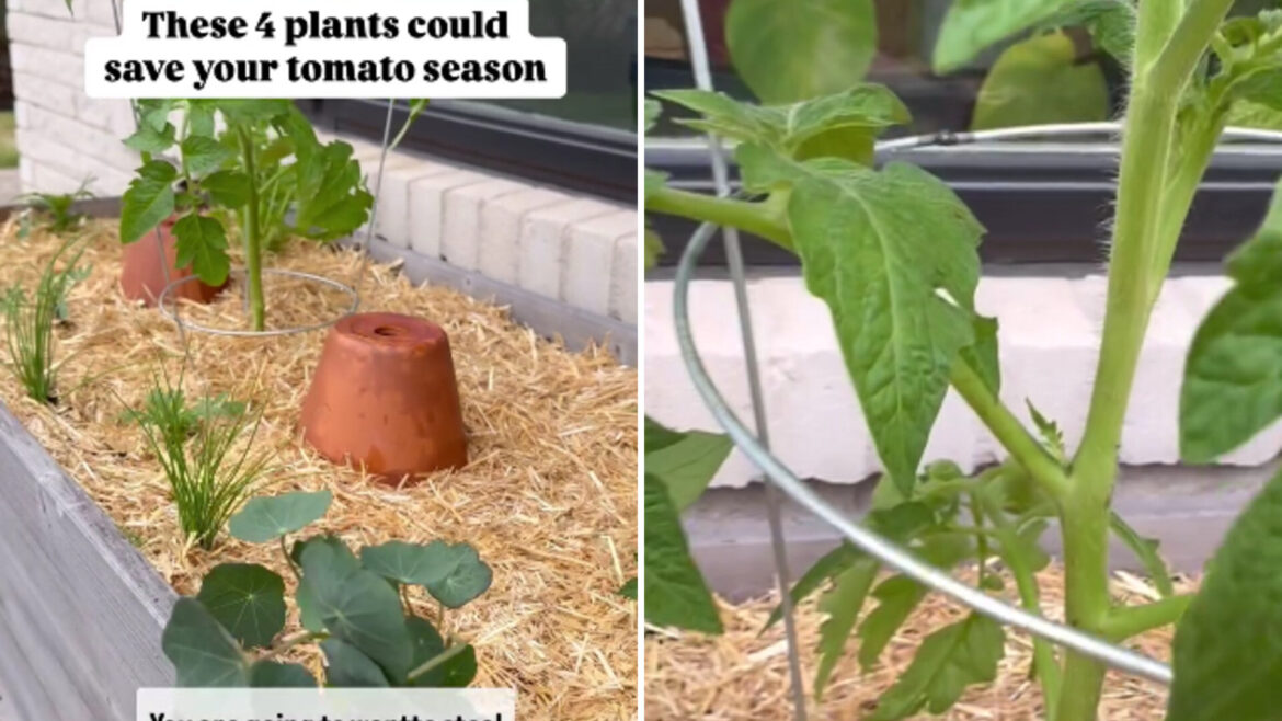 ‘I need all the help I can get’ Commenters loved the tip.