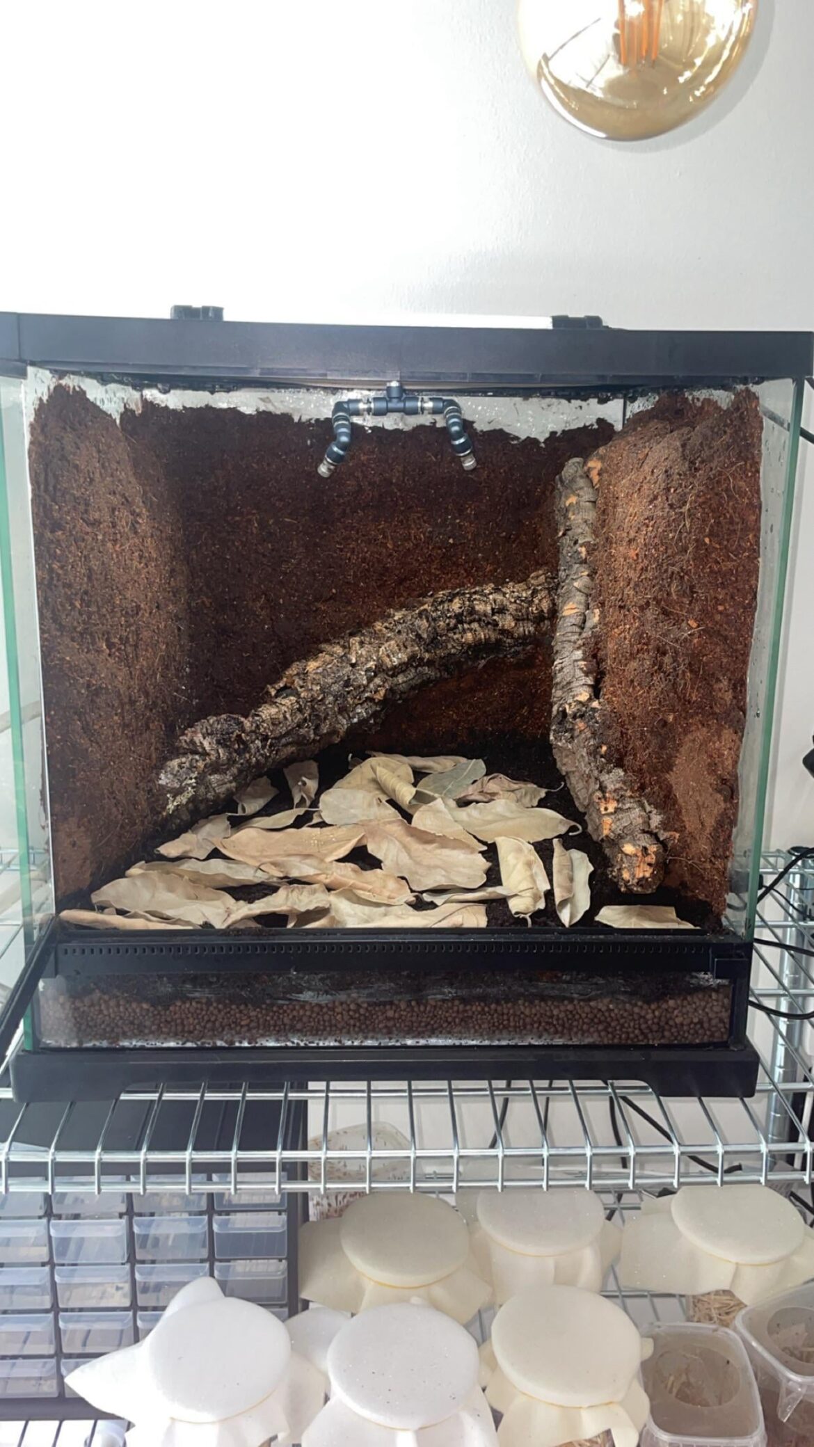 Done with my first diy background