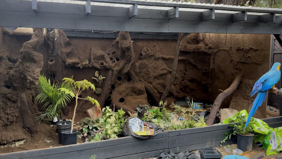 8,000 Gallon Dart Frog Vivarium Build: need suggestions