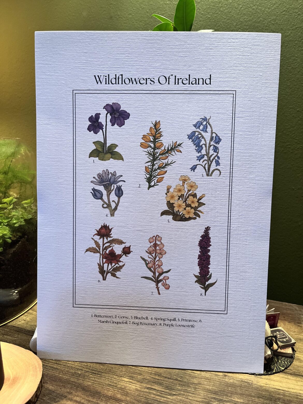 Thought my Irish wildflower print might be appreciated here