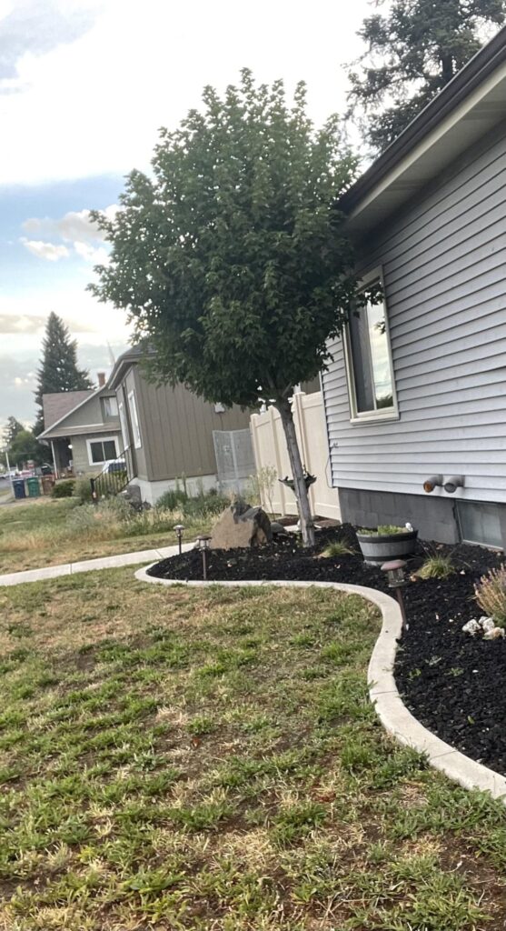 Would you remove this tree?